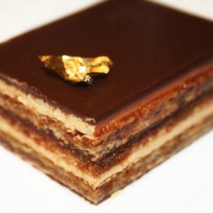 opera 49 1024x733 1