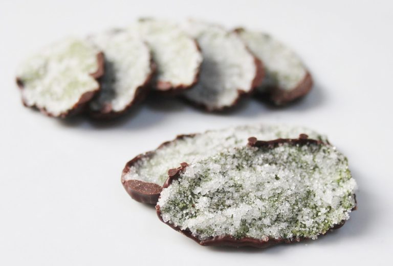 Feuilles de menthe cristallisees au chocolat