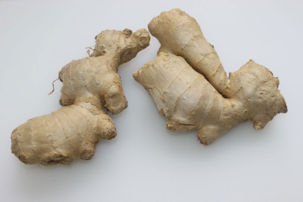 Deux morceaux de racine de gingembre frais avec une peau noueuse brun clair placés sur un fond blanc, parfaits pour créer une délicieuse sauce au gingembre.