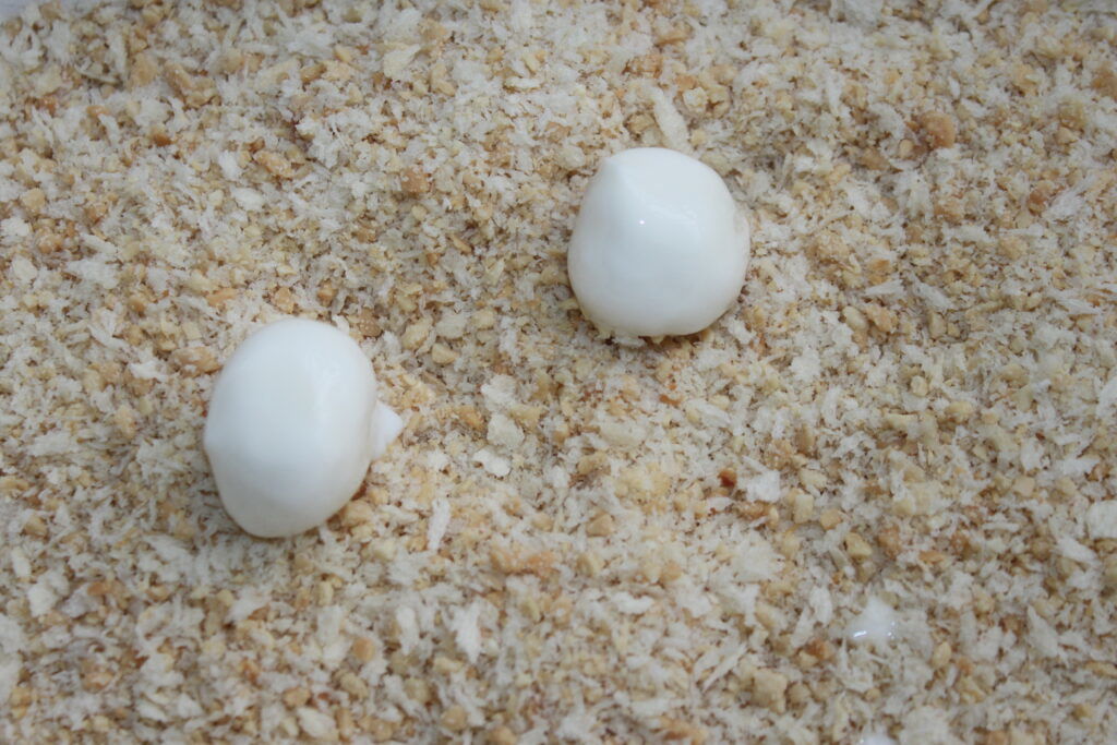 Duas colheres pequenas de molho branco, que se assemelham a delicadas bolas de mussarela, repousam em uma superfície coberta de farinha de rosca.