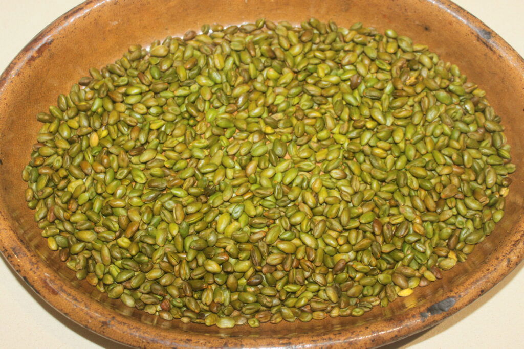 Un bol brun rempli d'une grande quantité de graines de cardamome verte, parfait pour infuser du chocolat de luxe ou créer les saveurs signatures de Chocolat de Dubaï.