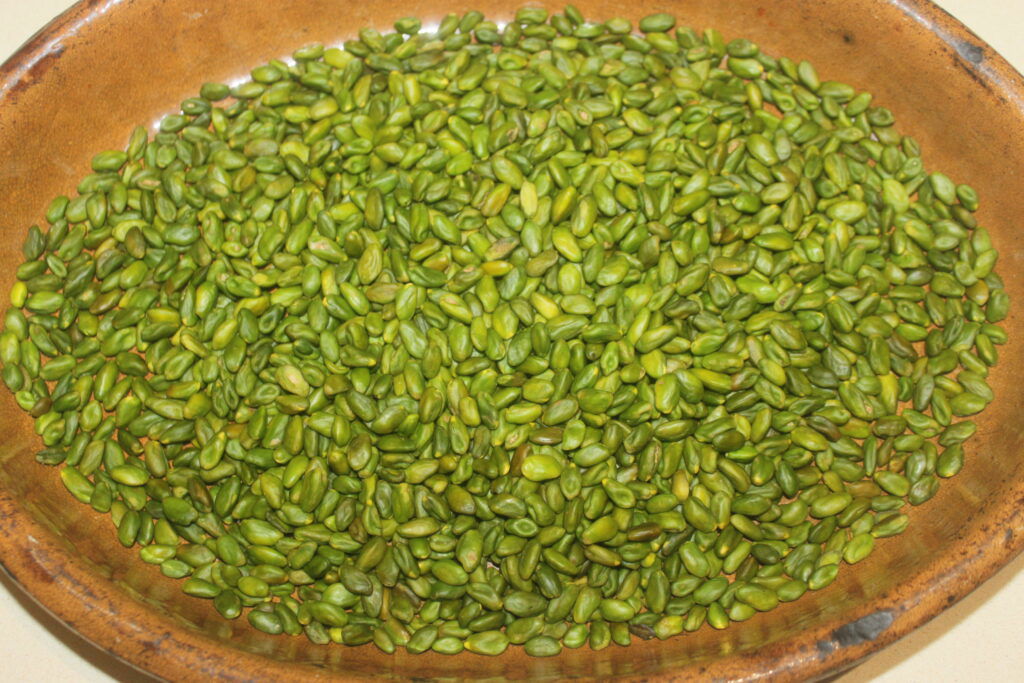 Un plat en céramique rempli d'une grande quantité de graines de cardamome verte, parfait pour rehausser les saveurs des desserts Chocolat de Dubaï.